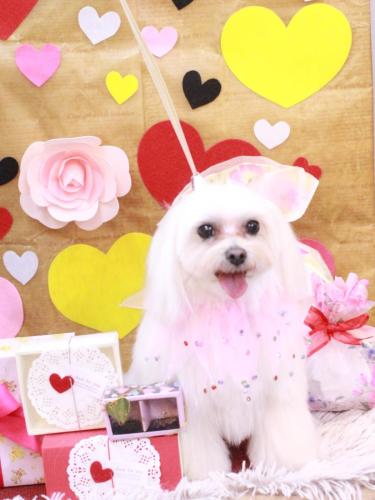 20230225心琴ちゃん